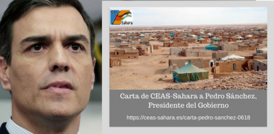 Carta de CEAS-Sahara a Pedro Sánche, Presidente del Gobierno