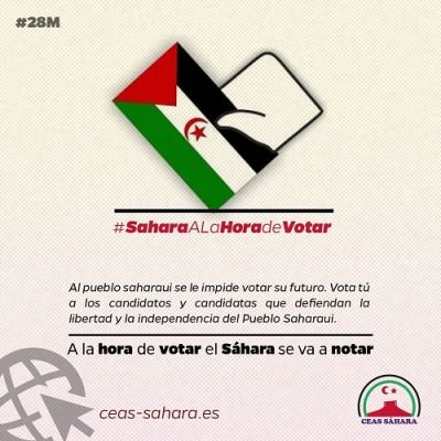 elecciones28msahara_500